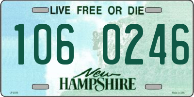 NH license plate 1060246