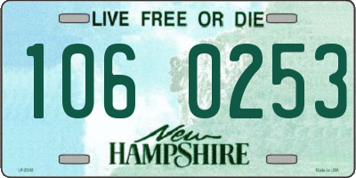 NH license plate 1060253