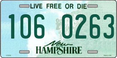 NH license plate 1060263