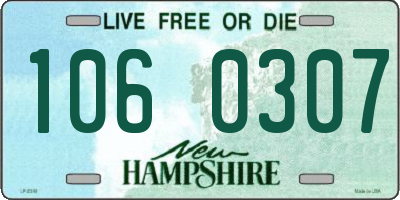 NH license plate 1060307