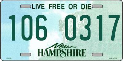 NH license plate 1060317