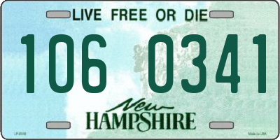 NH license plate 1060341