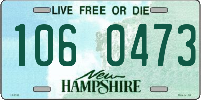 NH license plate 1060473