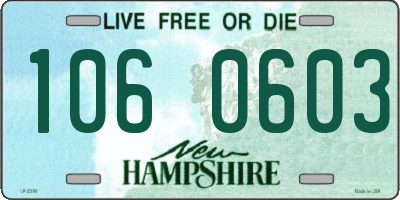 NH license plate 1060603