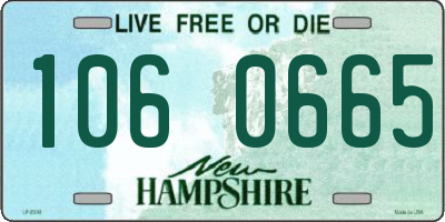 NH license plate 1060665