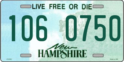 NH license plate 1060750