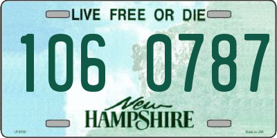 NH license plate 1060787