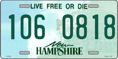 NH license plate 1060818