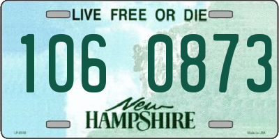 NH license plate 1060873