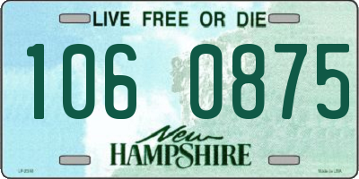 NH license plate 1060875
