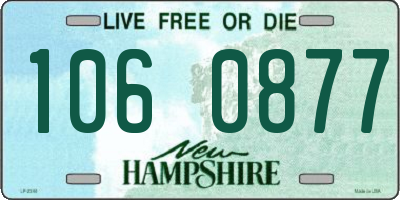 NH license plate 1060877