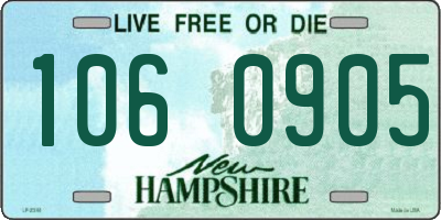 NH license plate 1060905