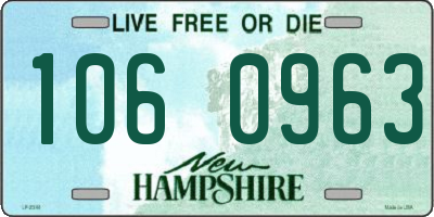 NH license plate 1060963