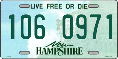 NH license plate 1060971