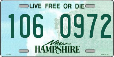 NH license plate 1060972