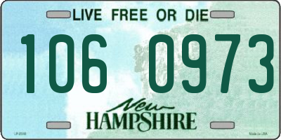 NH license plate 1060973