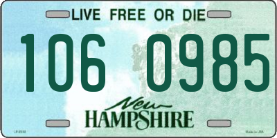 NH license plate 1060985
