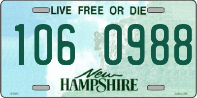 NH license plate 1060988