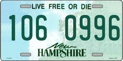 NH license plate 1060996