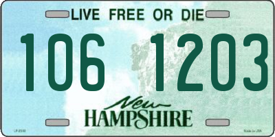 NH license plate 1061203