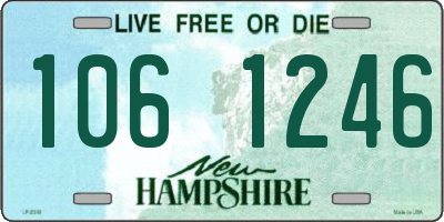 NH license plate 1061246