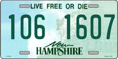 NH license plate 1061607