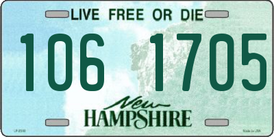 NH license plate 1061705