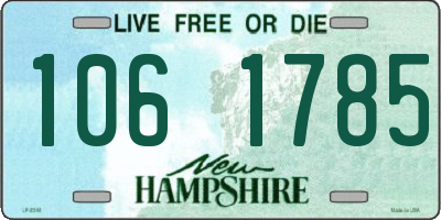 NH license plate 1061785