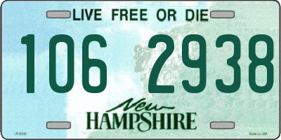NH license plate 1062938