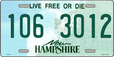 NH license plate 1063012