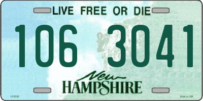 NH license plate 1063041