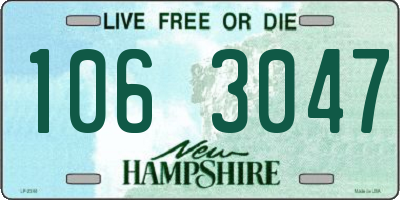NH license plate 1063047