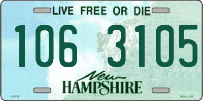 NH license plate 1063105