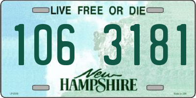 NH license plate 1063181