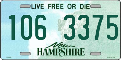 NH license plate 1063375