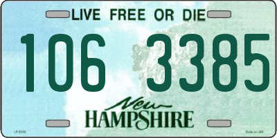 NH license plate 1063385