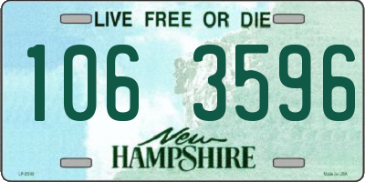 NH license plate 1063596