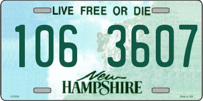 NH license plate 1063607