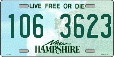 NH license plate 1063623