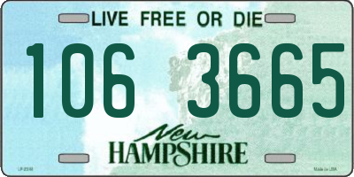 NH license plate 1063665