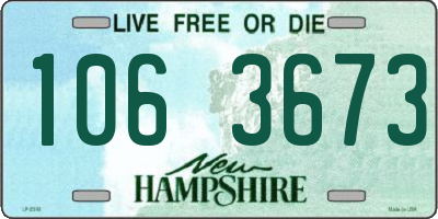 NH license plate 1063673