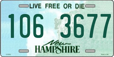 NH license plate 1063677