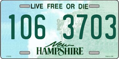 NH license plate 1063703