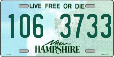 NH license plate 1063733