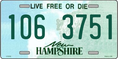 NH license plate 1063751