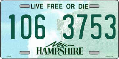 NH license plate 1063753