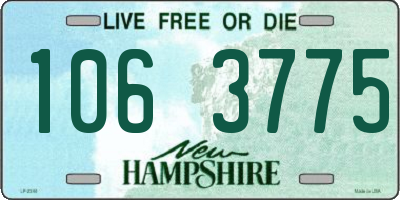 NH license plate 1063775
