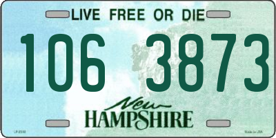 NH license plate 1063873