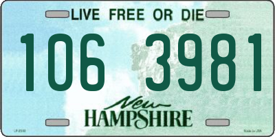 NH license plate 1063981