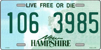 NH license plate 1063985